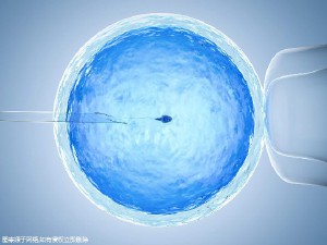 私人孕妈借卵代孕咨询微信号